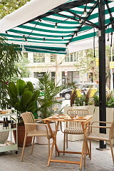 Помощь с растениями: озеленение территорий и помещений, пересадка и уход