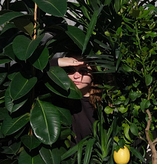 Помощь с растениями: озеленение территорий и помещений, пересадка и уход